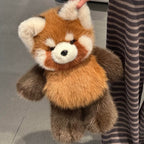 Raccoon